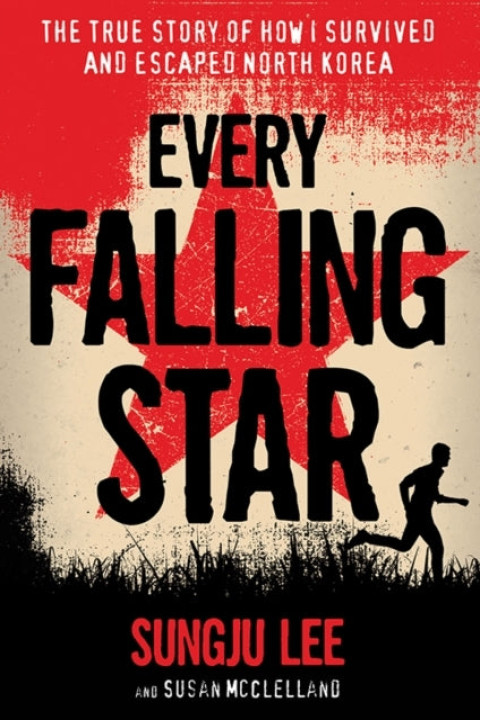 Omslag: Every Falling Star