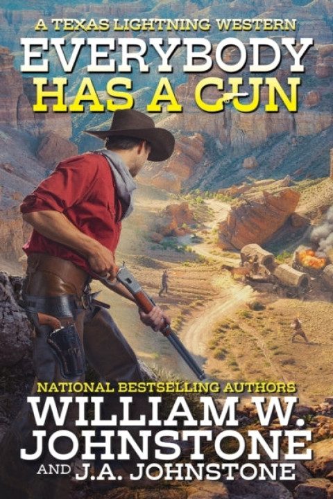 Omslag: Everybody Has a Gun