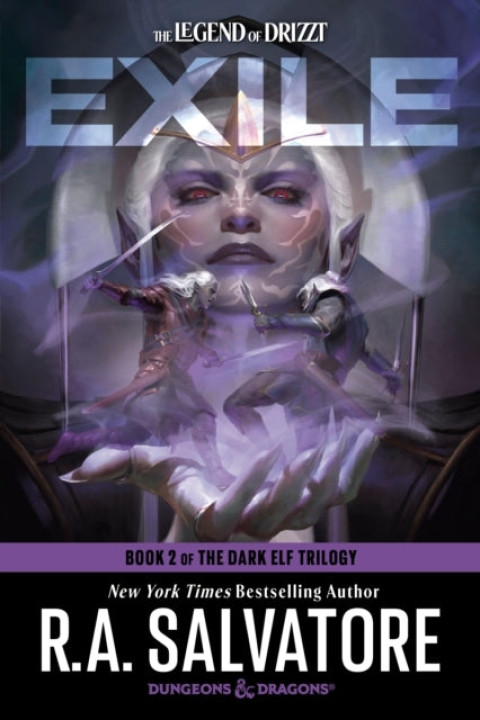 Omslag: Exile Dungeons og Dragons