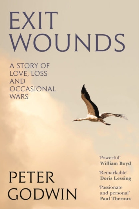Omslag: Exit Wounds