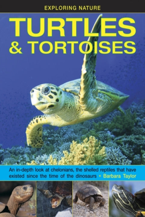 Omslag: Exploring Nature Turtles & Tortoises