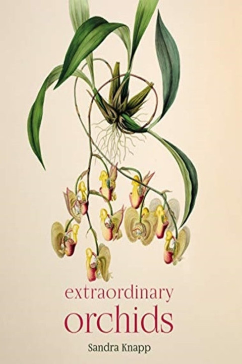 Omslag: Extraordinary Orchids
