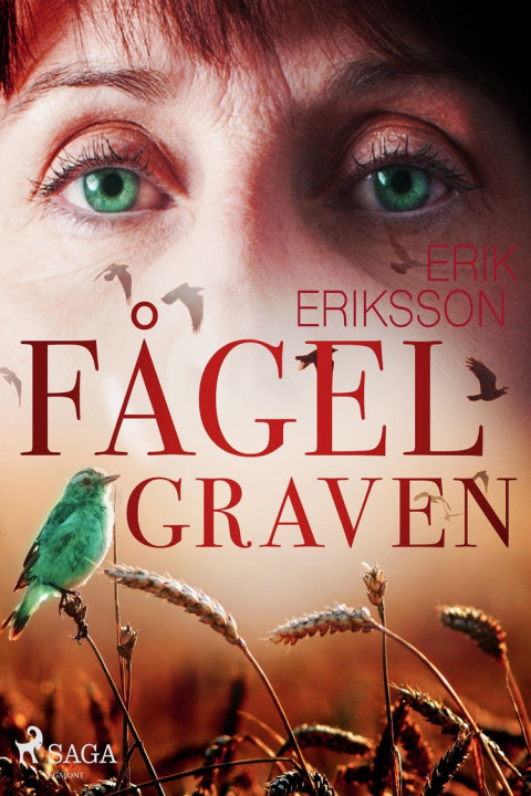 Omslag: Fågelgraven