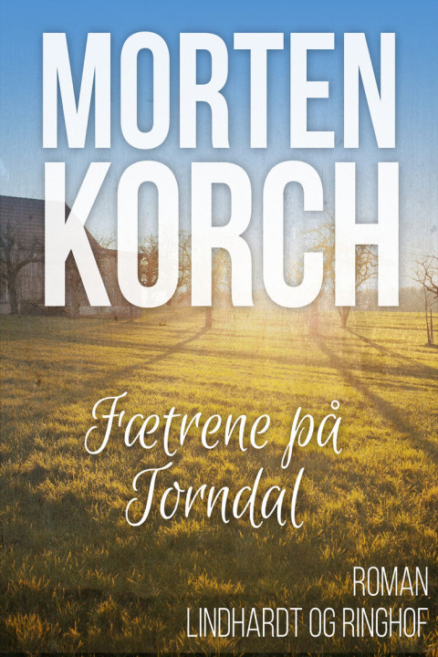 Omslag: Fætrene på Torndal