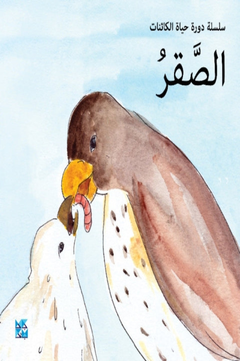 Omslag: Falcon