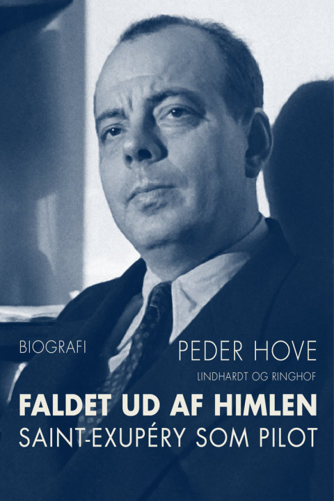 Omslag: Faldet ud af himlen