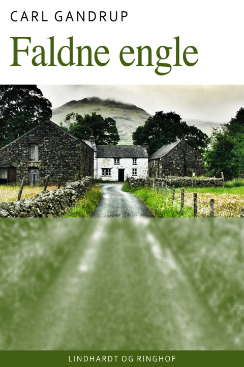 Omslag: Faldne engle