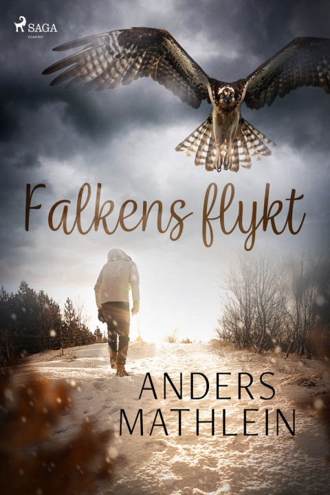 Omslag: Falkens flykt