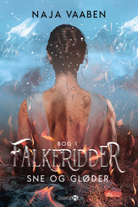 Omslag: Falkeridder 1