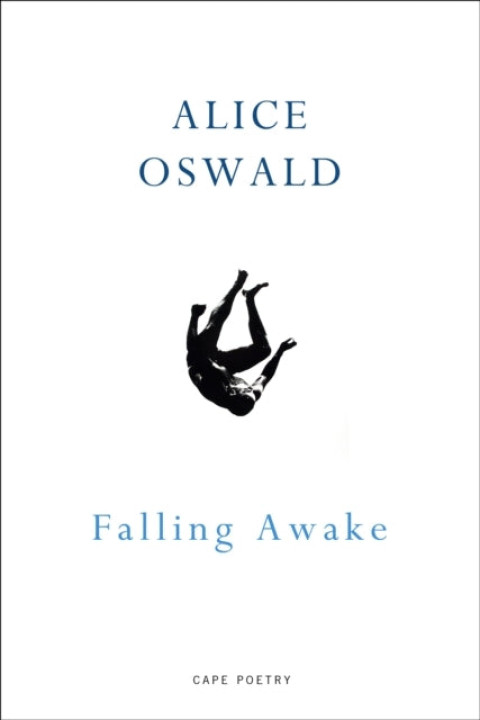 Omslag: Falling Awake