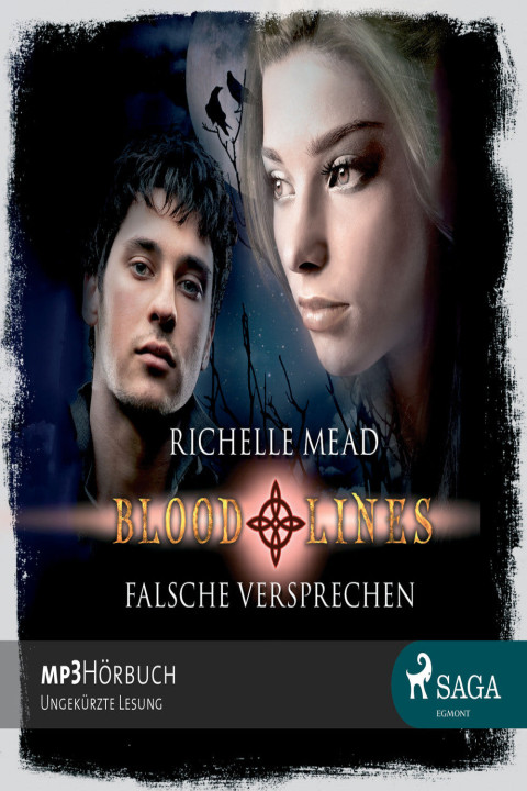 Omslag: Falsche Versprechen