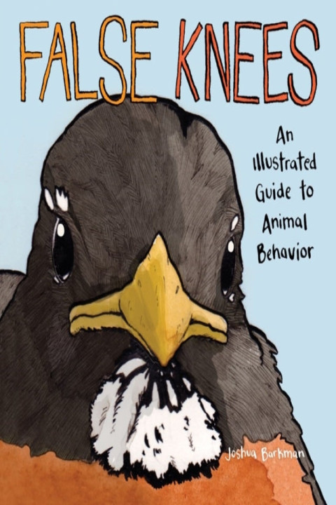 Omslag: False Knees