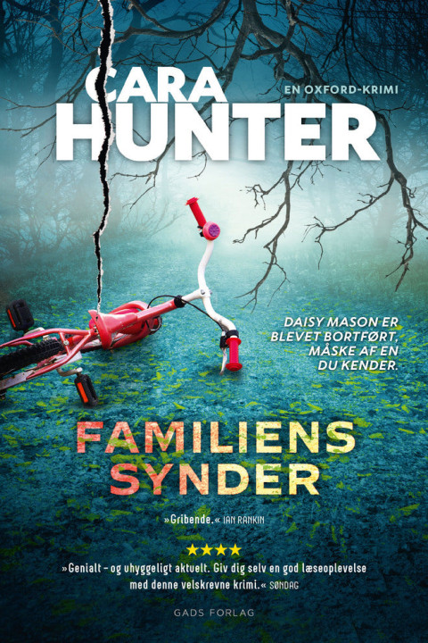 Omslag: Familiens synder
