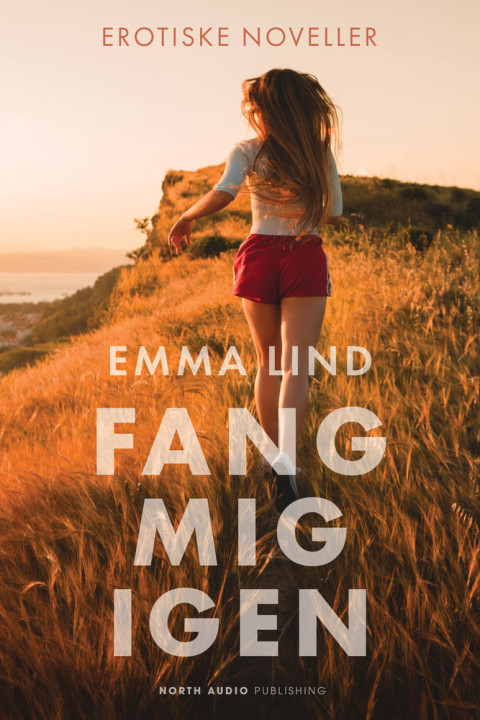 Omslag: Fang mig igen