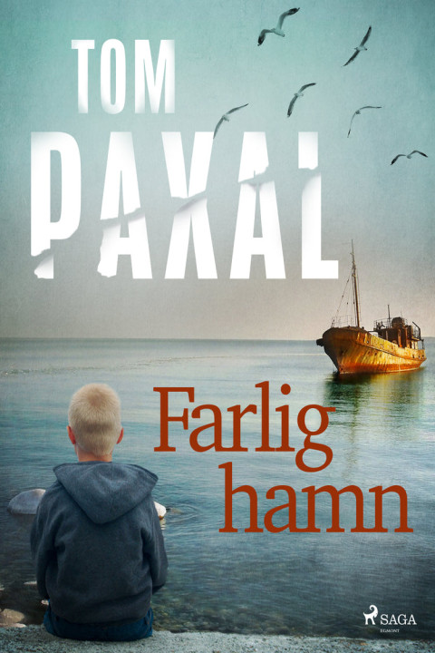 Omslag: Farlig hamn
