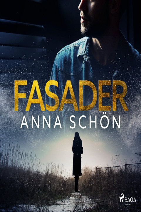Omslag: Fasader