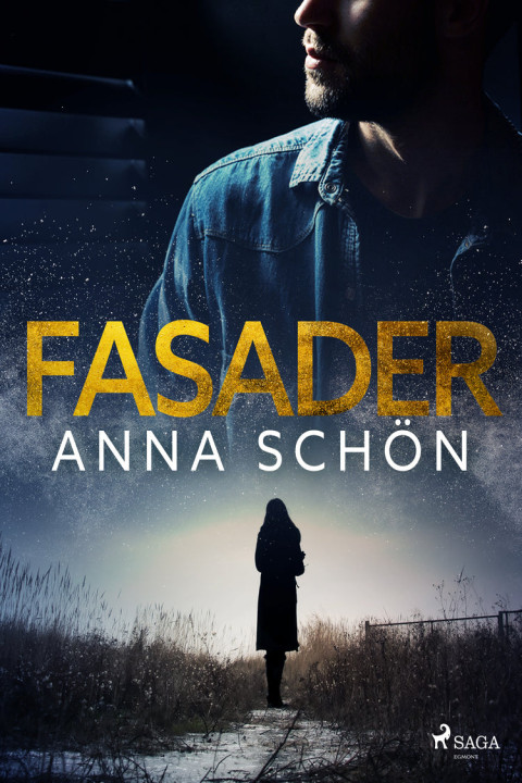 Omslag: Fasader