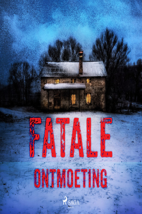 Omslag: Fatale ontmoeting