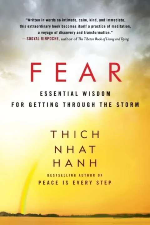 Omslag: Fear - Essential Wisdom for Getting Through the Storm