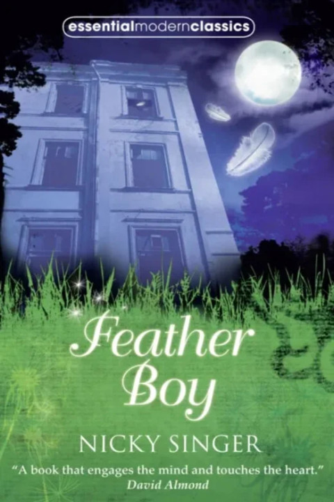 Omslag: Feather Boy