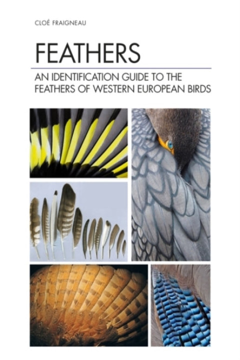Omslag: Feathers