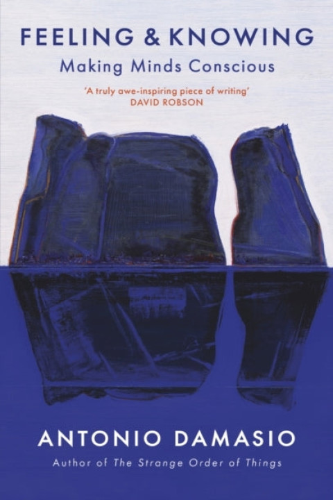 Omslag: Feeling and Knowing