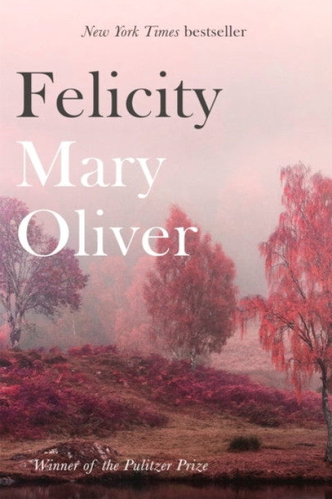 Omslag: Felicity