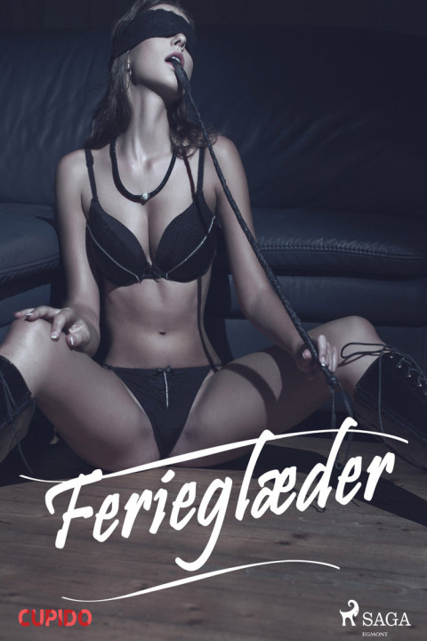 Omslag: Ferieglæder