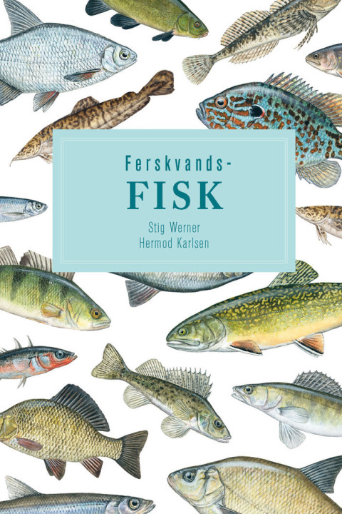 Omslag: Ferskvandsfisk