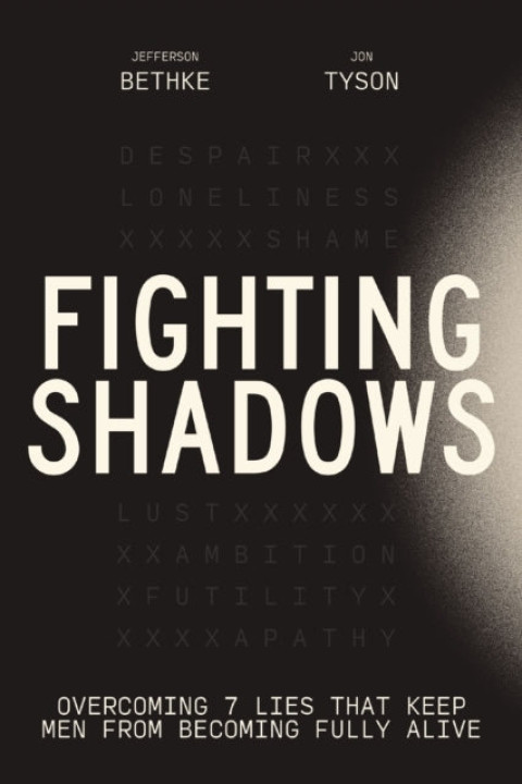 Omslag: Fighting Shadows