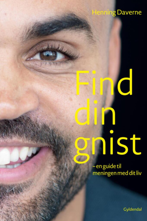 Omslag: Find din GNIST