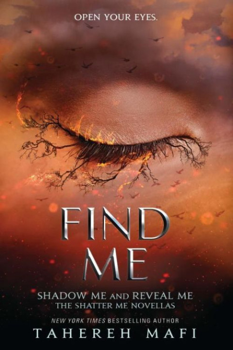 Omslag: Find Me