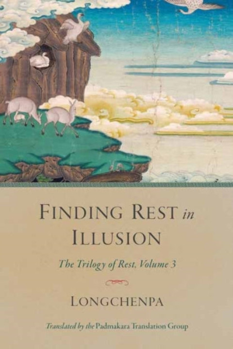Omslag: Finding Rest in Illusion