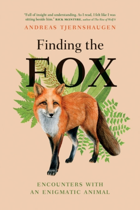 Omslag: Finding the Fox