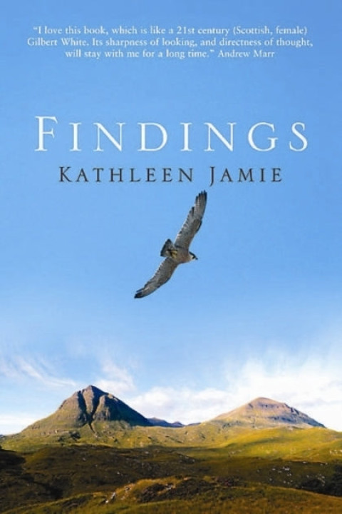Omslag: Findings