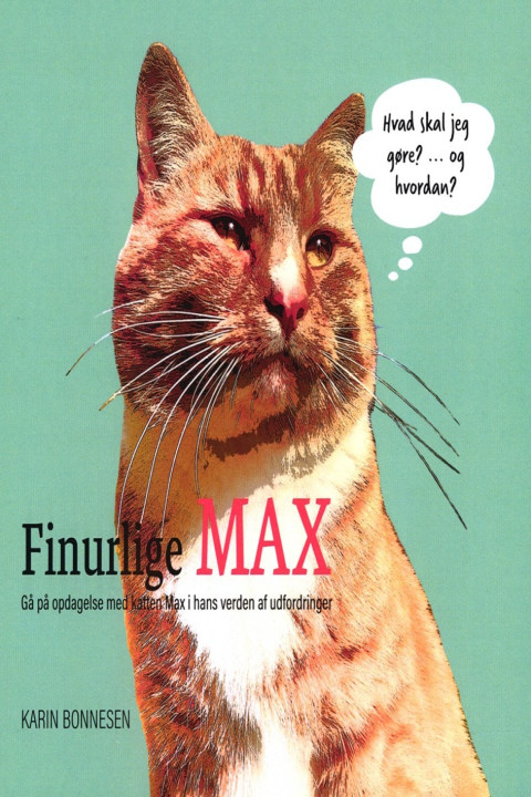 Omslag: Finurlige MAX