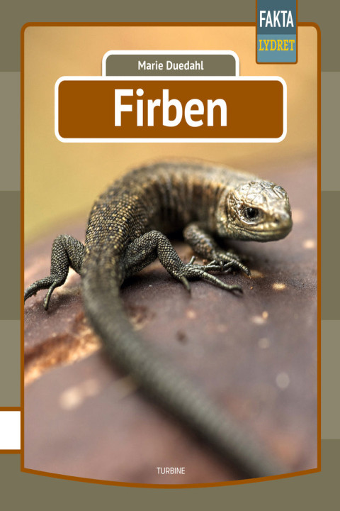 Omslag: Firben