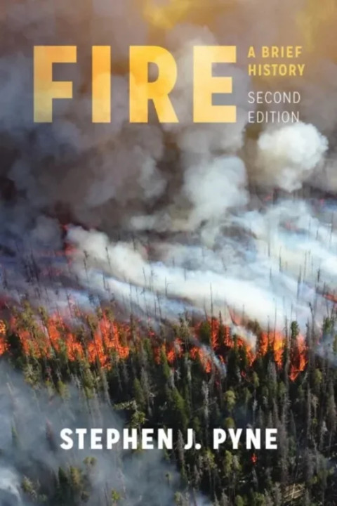 Omslag: Fire - A Brief History