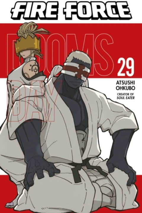 Omslag: Fire Force 29