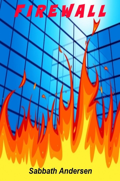 Omslag: Firewall