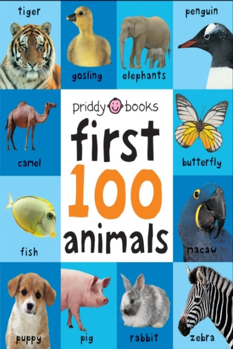 Omslag: First 100 Animals