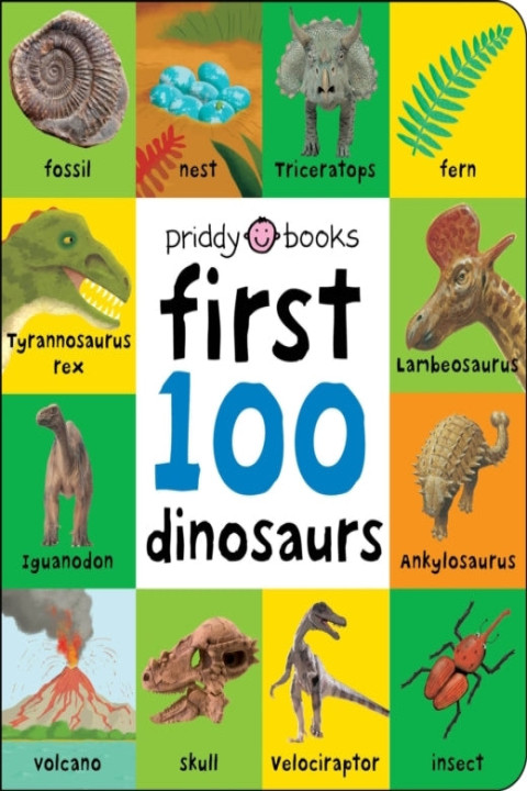 Omslag: First 100 Dinosaurs