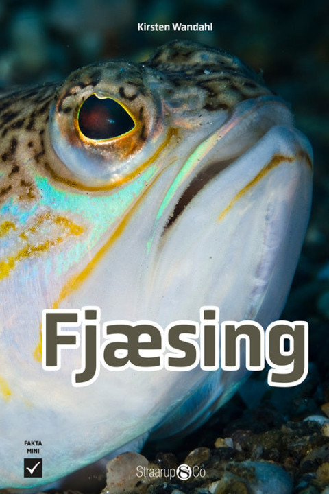 Omslag: Fjæsing