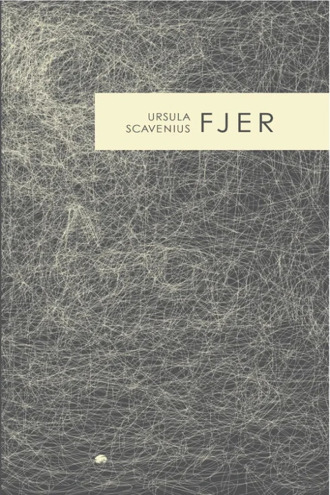 Omslag: Fjer - 3 fortællinger