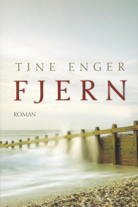 Omslag: Fjern
