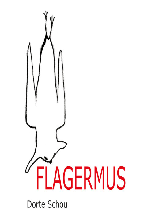 Omslag: Flagermus