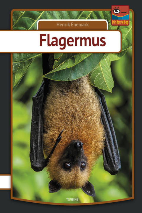 Omslag: Flagermus