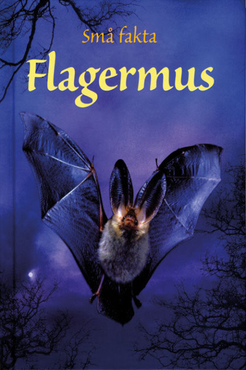 Omslag: Flagermus