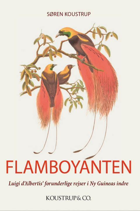 Omslag: Flamboyanten