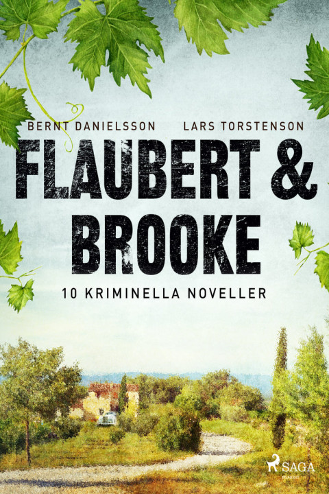 Omslag: Flaubert & Brooke